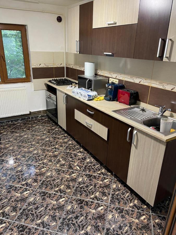 Royal Apartment Buzău Exteriér fotografie